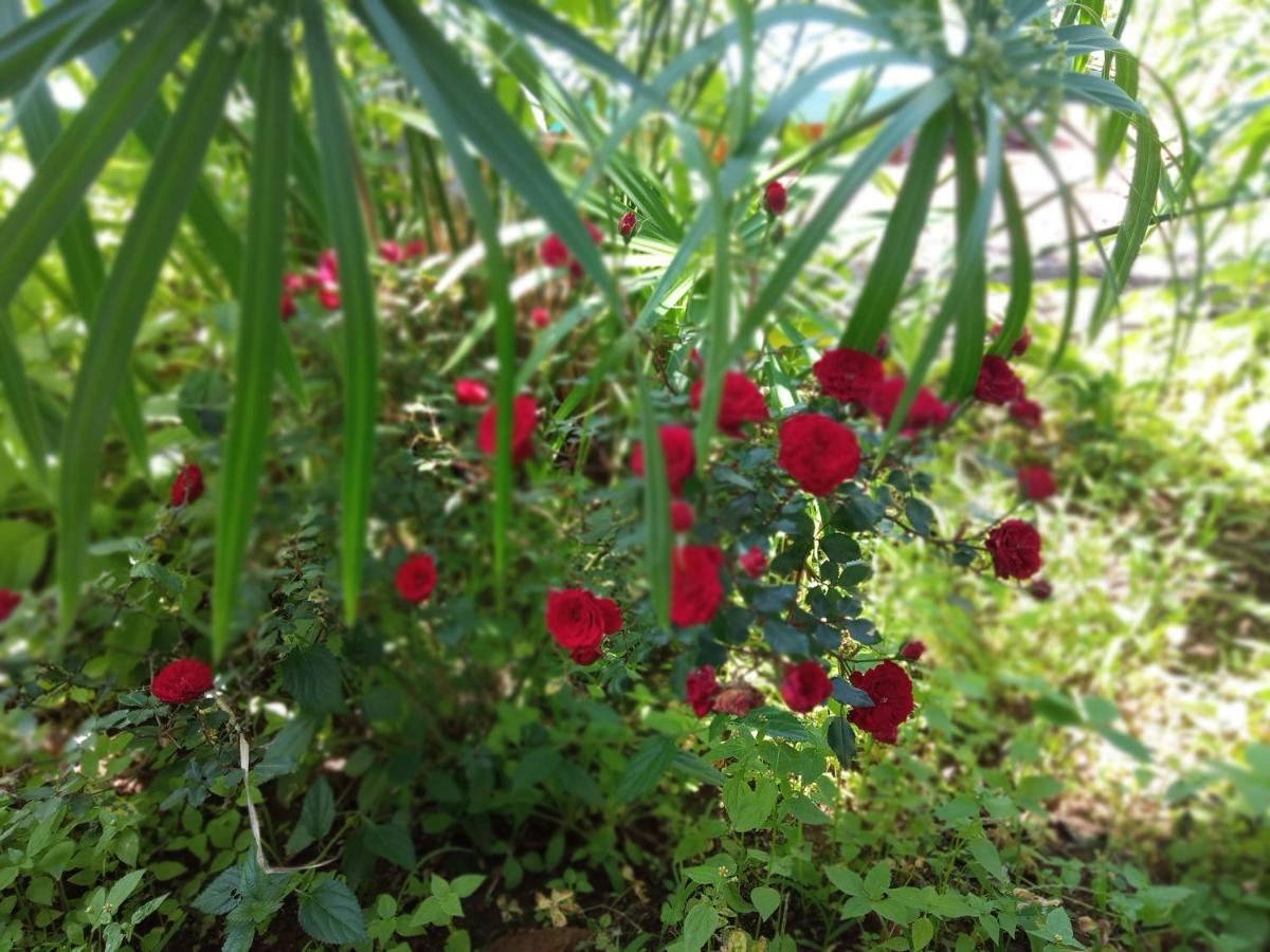 Oak Valley Resorts Kotagiri Dış mekan fotoğraf